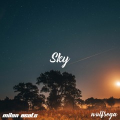 Sky ft. Milan Beats (Chill Lo-fi)