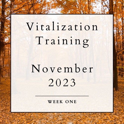 Vitalization Training - November 2023