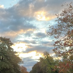 If We Still Have Our Troubles