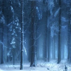 The Frozen Forest — Ambience