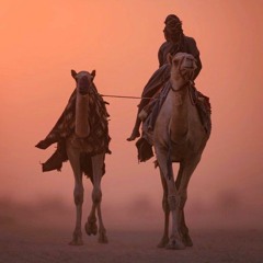 أناشيد.