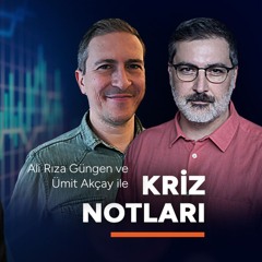 Kriz Notları