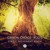 Artwork for Critical Choice - Roots (Static Movement Remix) [IBOGA RECORDS] OUT NOW!!!