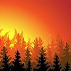 Cautious Clay - Wildfire (Cover)