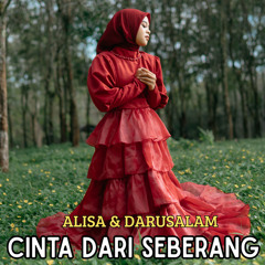 Cinta Dari Seberang