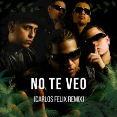 Casa De Leones - No Te Veo (Carlos Felix Remix)