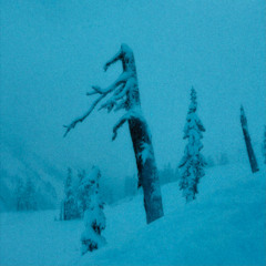 blue christmas (mistletoehold)