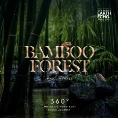 Bamboo Forest, Hawaii SPATIAL AUDIO BINAURAL HEADSET EXPERIENCE