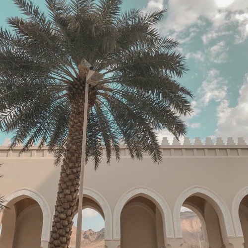 Wahid (MUHR - Richfleur)