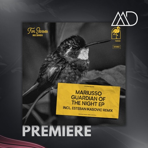 PREMIERE: Mariusso - Guardian Of The Night (Original Mix) [For Senses Records]