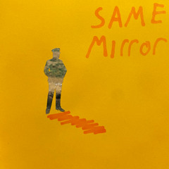 same mirror