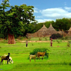 جراري تراث سوداني