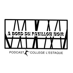 PODCAST - À BORD DU PAVILLON NOIR ! (Interview courte)