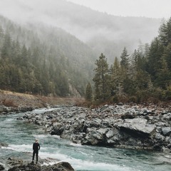 Le Voyage (avec David Demelier)