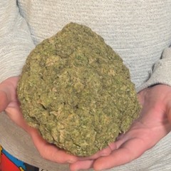 Bit wanna call my phone