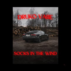 Socks in the Wind