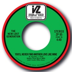 THE NEW LOST GENERATION - YOU'LL NEVER FIND ANOTHER LOVE LIKE MINE