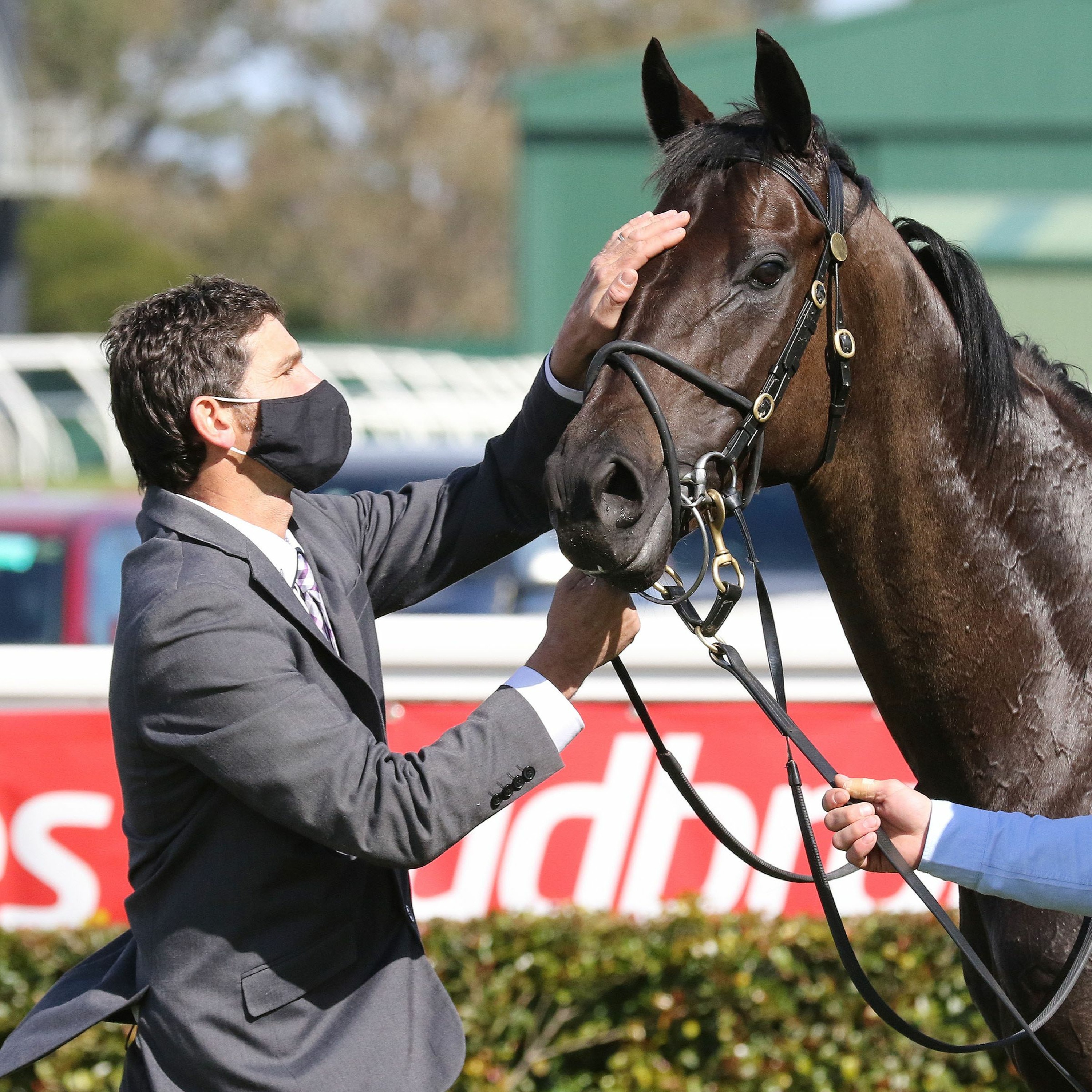 NZ Racing News