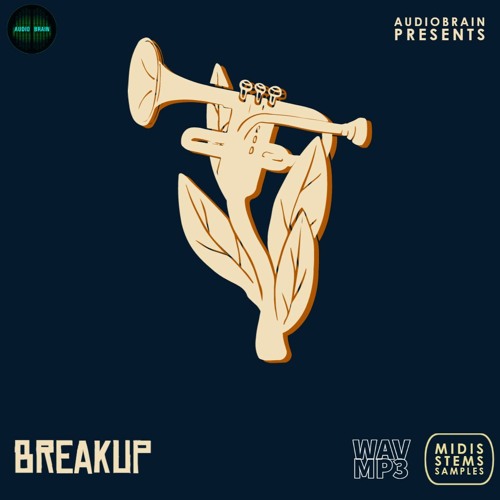 Breakup - Song rights/Remix kit, samples and midi available - Link in description