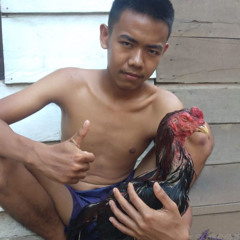 DJ VAASTE SAMPE BAWAH