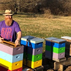 All About the Bees w/ Dave Noble of Red Beard Bees