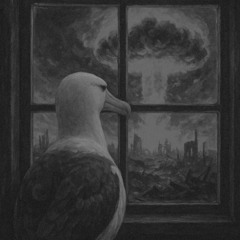 albatrozz