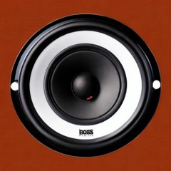 보스 스피커 메인디쉬