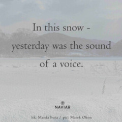 A Yeti Voice in the Snow  (naviarhaiku625)