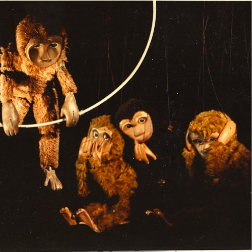 Monkey Sets up the race