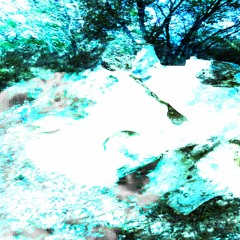 ambient samples