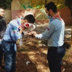 صندوق الدنيا ⚜️ كلمات ق/ محمد الكاس ؛ غناء ق/ احمد عبد الحفيظ