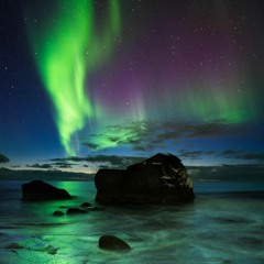 Night Swimming Vol. 14