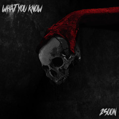2SOON - WHAT YOU KNOW