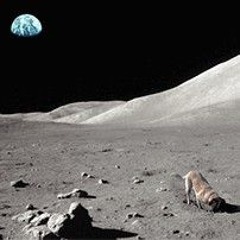 Nagz - My Dog Lives On the Moon