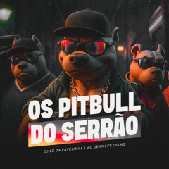 OS PITBULL DO SERRÃO - MC DEXX e FP DELAS ( DJ LD DA FAVELINHA )
