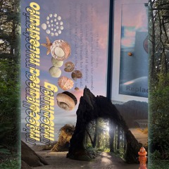 miscellanea muestrario mischung