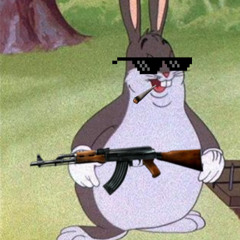 BIG CHUNGUS (dubstep mix)