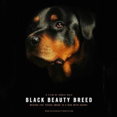 Black Beauty Breed OST (Dir: Angie Ruiz)