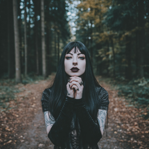 Something's Still Alive