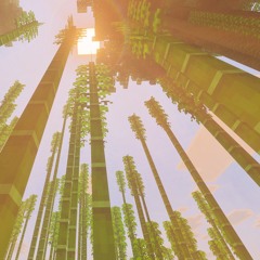 POP ZEY (Ben’s club mix).mp3