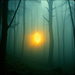 The Hunter