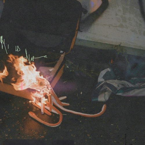 N.V.T 01