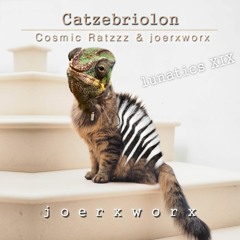 Catzebriolon // Cosmic Ratzzz & joerxworx / lunatics 19
