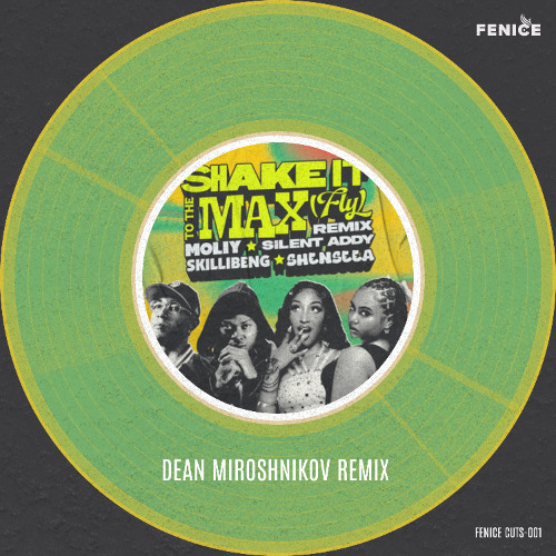 MOLIY & Silent Addy, Skillibeng, Shenseea -Shake It To The Max (Dean Miroshnikov Remix)