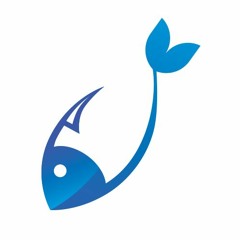 А что на рыболовном фидерном рынке