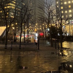 110th street (apnoxu)