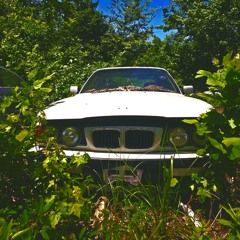 AMERICANO TRIPLE SHOT