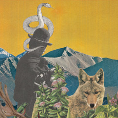 LESLIE GRAVES and TOBY GOODSHANK - The Natural Way
