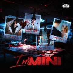 David Ioan - INI MINI (808fxri Remix)