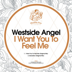 WESTSIDE ANGEL - I Want You To Feel Me [ST249] Smashing Trax / 30th December 2022